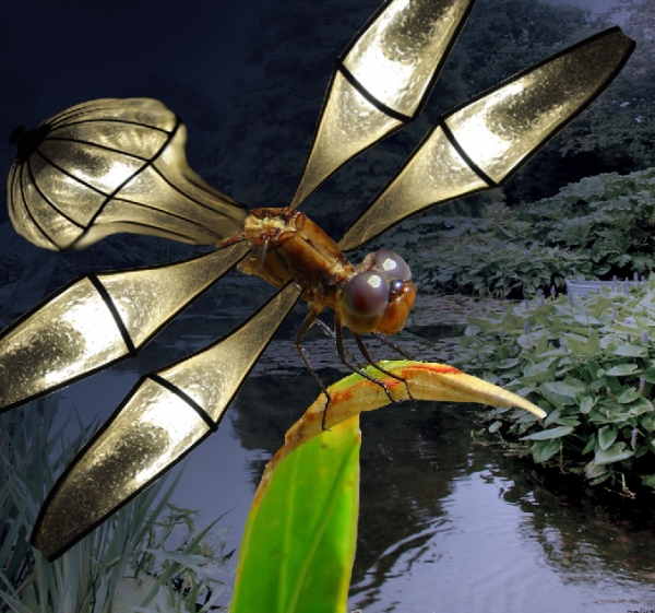 Creation of Dragonfly: Step 6